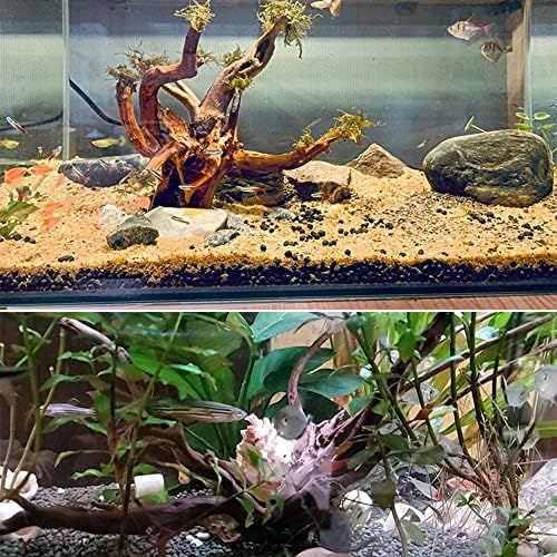 1 Pc Természetes Fa Akvárium akvárium a Fa Ágai Terrárium Fa Akvárium Élőhely Dekoráció, akvárium Napló Dekoráció(15-20cm)