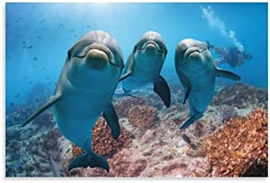 Trópusi Óceánban, Delfinek mélytengeri Víz Szoba Esztétikai Plakát Művészet Plakát Hálószoba, Nappali Wall Art Festmények