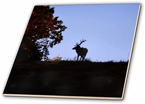 3dRose Mike Szélhámosság Fotózás - Vadon élő állatok - Elk sziluett napnyugtakor - Csempe (ct_351717_1)