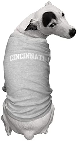 Cincinnati Állami Egyetem Sport Kutya Póló (Világos Szürke, Kicsi)