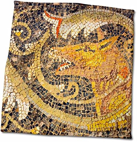 3dRose Farkas Mozaik, Új Ház, Vadászat, Bulla Regia, Tunézia Észak-Afrika - Törölköző (twl-276613-3)