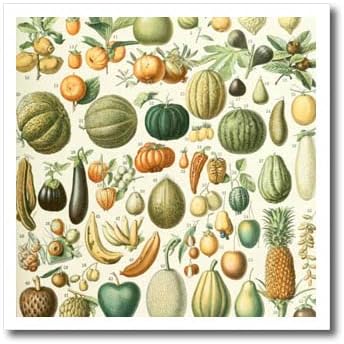 3dRose Vintage Zöldség-Gyümölcs Art Print - Gyümölcsöt. - A vas a Hő Transzferek (ht-365402-3)